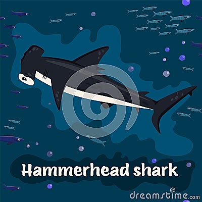 Hammerhead shark. Endangered fish species. Vector illustration Vector Illustration