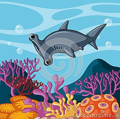 Hammerhead shark swimming under the ocean Vector Illustration