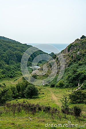Hammershus, Bornholm / Denmark - July 29 2019: Deep valley with forrest and grassy hills in July Editorial Stock Photo