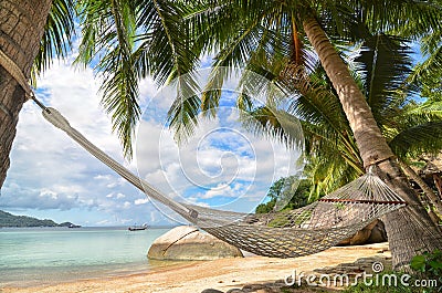 Hammock hanging between palm trees at the sandy beach and sea coast Stock Photo