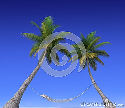 Hammock hanging from palm trees Stock Photo