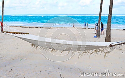 Hammock on sunny beach Stock Photo