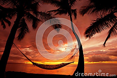 Hammock at Sunset in Paradise Stock Photo