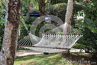 Hammock under the sun Stock Photo