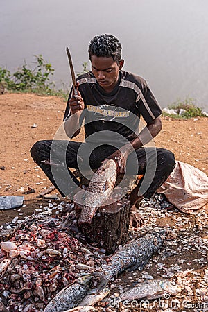 Man hacks tail off fish on shore of Kamalapura Lake, Hampi, Karnataka, India Editorial Stock Photo