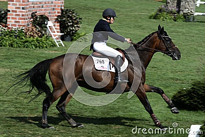 Hampton Classic Horse Show Editorial Stock Photo