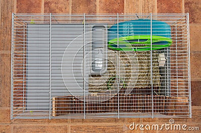 Hamster cage with accessories Stock Photo