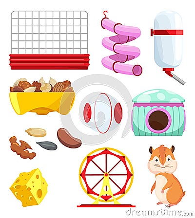 Hamster habitat accessories. Tunnel, exercise wheel, water bottle, food dish, transparent ball. Element of habitat for Stock Photo