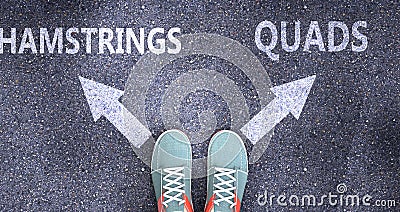 Hamstrings and quads as different choices in life - pictured as words Hamstrings, quads on a road to symbolize making decision and Cartoon Illustration