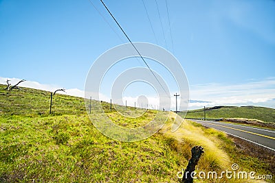 Hamuka Coast, Hawaii rolling green farmland above coastline under blue sky Stock Photo