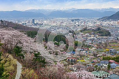 Hanamiyama (Mountain of flowers) park, Fukushima, Japan. Editorial Stock Photo