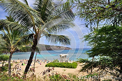 Hanauma Bay Stock Photo