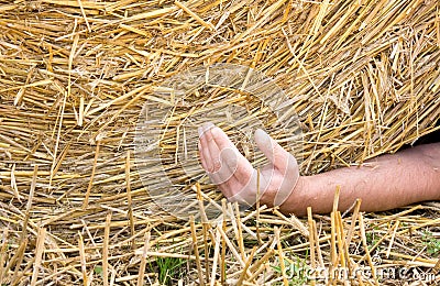 The hand of an accidental farmer under a big straw bale Stock Photo