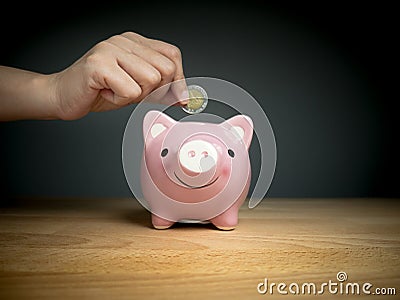 Hand add coin to piggy bank save coin, time and money concept Stock Photo
