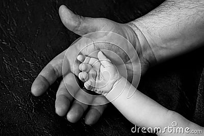 Hand of an adult and child Stock Photo