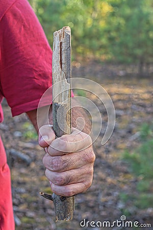 the hand of an aggressive man in a red shirt holds a piece of a gray wooden stick Stock Photo