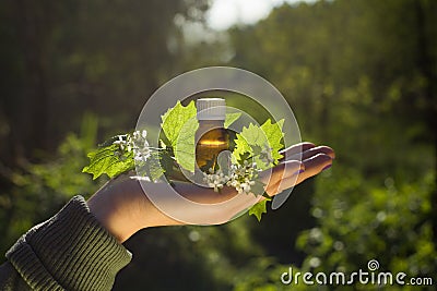 Fresh herbs - Natural remedies - Bach flower remedy, hand with herb brown bottle Stock Photo