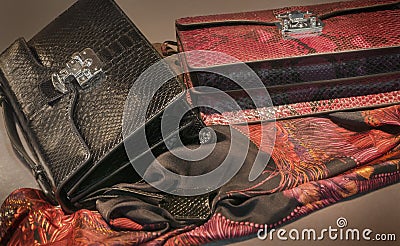 Hand bags and silk scarf Stock Photo