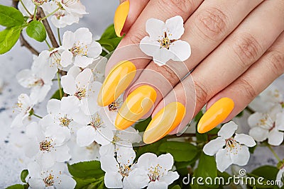 Hand with long artificial manicured nails colored with yellow nail polish Stock Photo