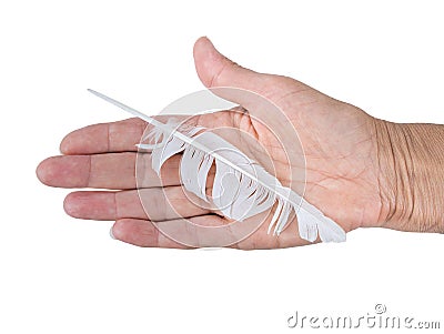 Hand with bedraggled white feather - cowardice or defeat concept. Stock Photo