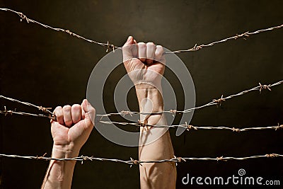 Hand behind barbed wire Stock Photo