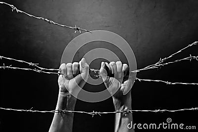 Hand behind barbed wire Stock Photo