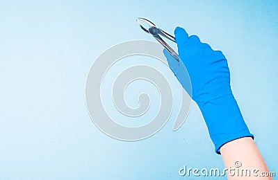 Hand in blue glove holding dental metal clamps Stock Photo