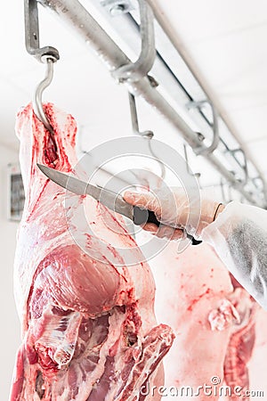 Hand of butcher in butchery cutting meat Stock Photo