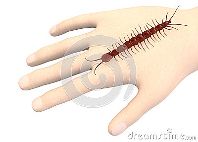 Hand with centipede Stock Photo