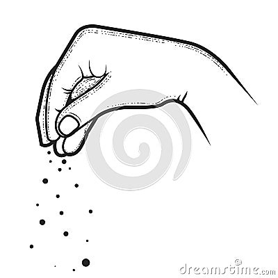 Hand of chief-cook powdering a dish with condiment, pinch of salt, spice or seasoning, pinched fingers Vector Illustration