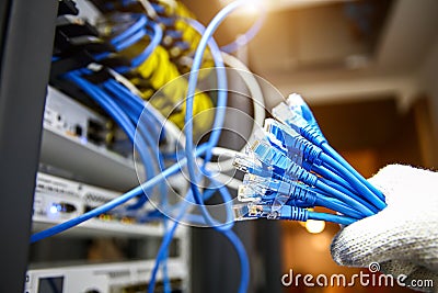 Hand choose RJ45 UTP Cat6 LAN internet network cable fiber optic and Lots of Ethernet cables for connect computer and networking Stock Photo