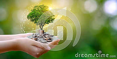 Hand Coin tree The tree grows on the pile. Saving money for the future. Investment Ideas and Business Growth. Green background Stock Photo