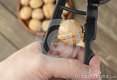 Hand cracking walnut witt unfocused nuts on the background Stock Photo