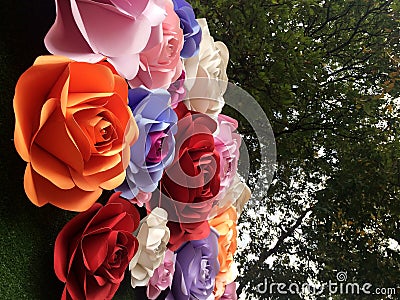 Hand crafted variety colourful cardboard paper roses flowers Stock Photo