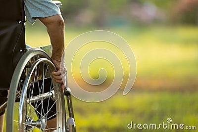 Hand of disabled elderly person outside in green nature at park,copy space,old woman sitting on her wheelchair looking forward, Stock Photo