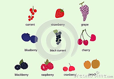 Hand draw berries clip art set. Berries vector. Vector Illustration