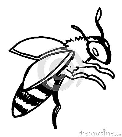 Hand draw black and white illustration bee, flying insects, summer, honey Vector Illustration