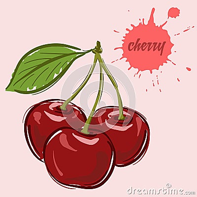 Hand draw of cherry Vector Illustration