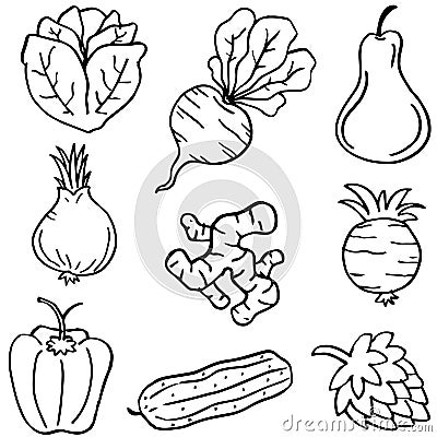 Hand draw doodle vegetable set Vector Illustration