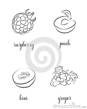 Hand draw frutis, set. Raspberry, Peach, Kiwi, Grapes. Stock Photo