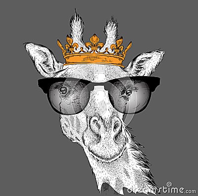 Hand draw Image Portrait giraffe in the crown. Use for print, posters, t-shirts. Hand draw vector illustration Vector Illustration