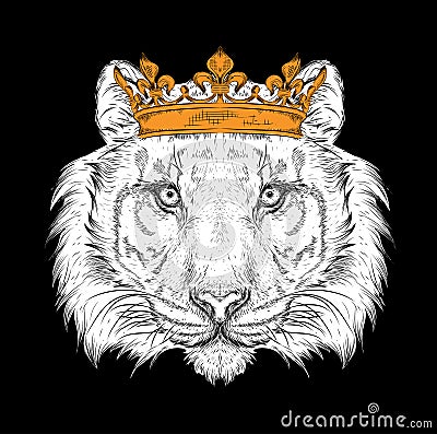 Hand draw Image Portrait tiger in the crown. Use for print, posters, t-shirts. Hand draw vector illustration Vector Illustration