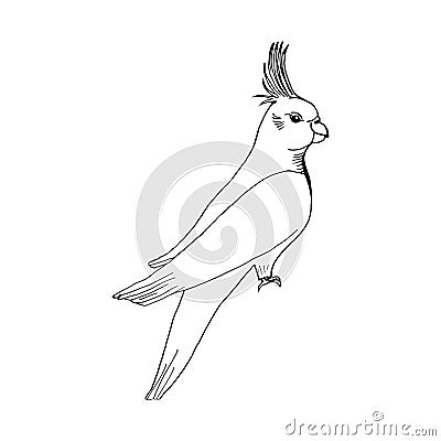 Hand draw parrot sketch style on a black white Vector Illustration