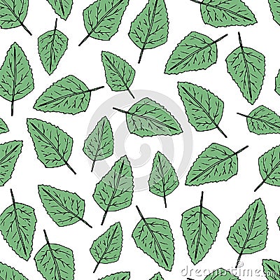 Hand draw seamless pattern. Green leafs. Vector illustration Vector Illustration