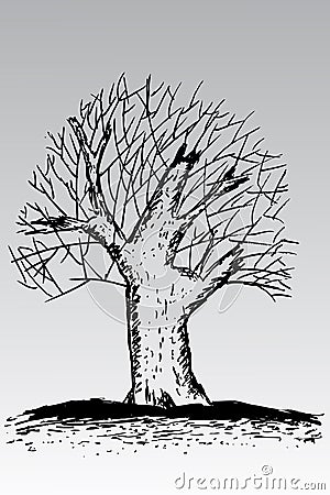 Hand draw sketch, dead tree Vector Illustration