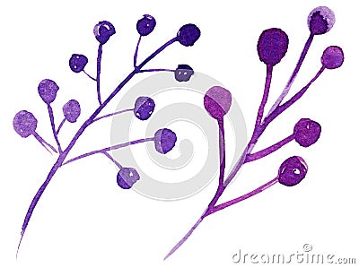 Hand draw watercolor brunch and berries, illusration, sketch, purple color, violet color, herbal ornament Stock Photo