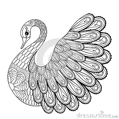 Hand drawing artistic Swan for adult coloring pages in doodle Vector Illustration