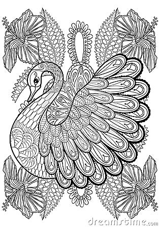 Hand drawing artistic Swan in flowers for adult coloring pages Vector Illustration