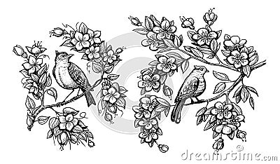 Hand drawing bird on tree branch. Nightingale and flowers in vintage engraving style. Sketch vector illustration Vector Illustration