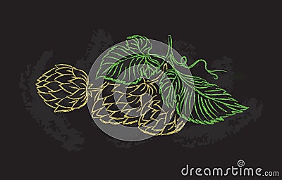 Hand drawing of a branch of hops. Vector Illustration